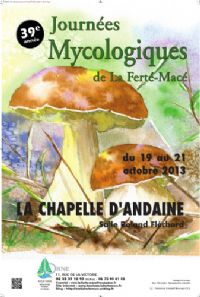 Fête du champignon : Journées mycologiques de la Ferté Macé. Du 19 au 21 octobre 2013 à La-Chapelle-d'Andaine. Orne. 